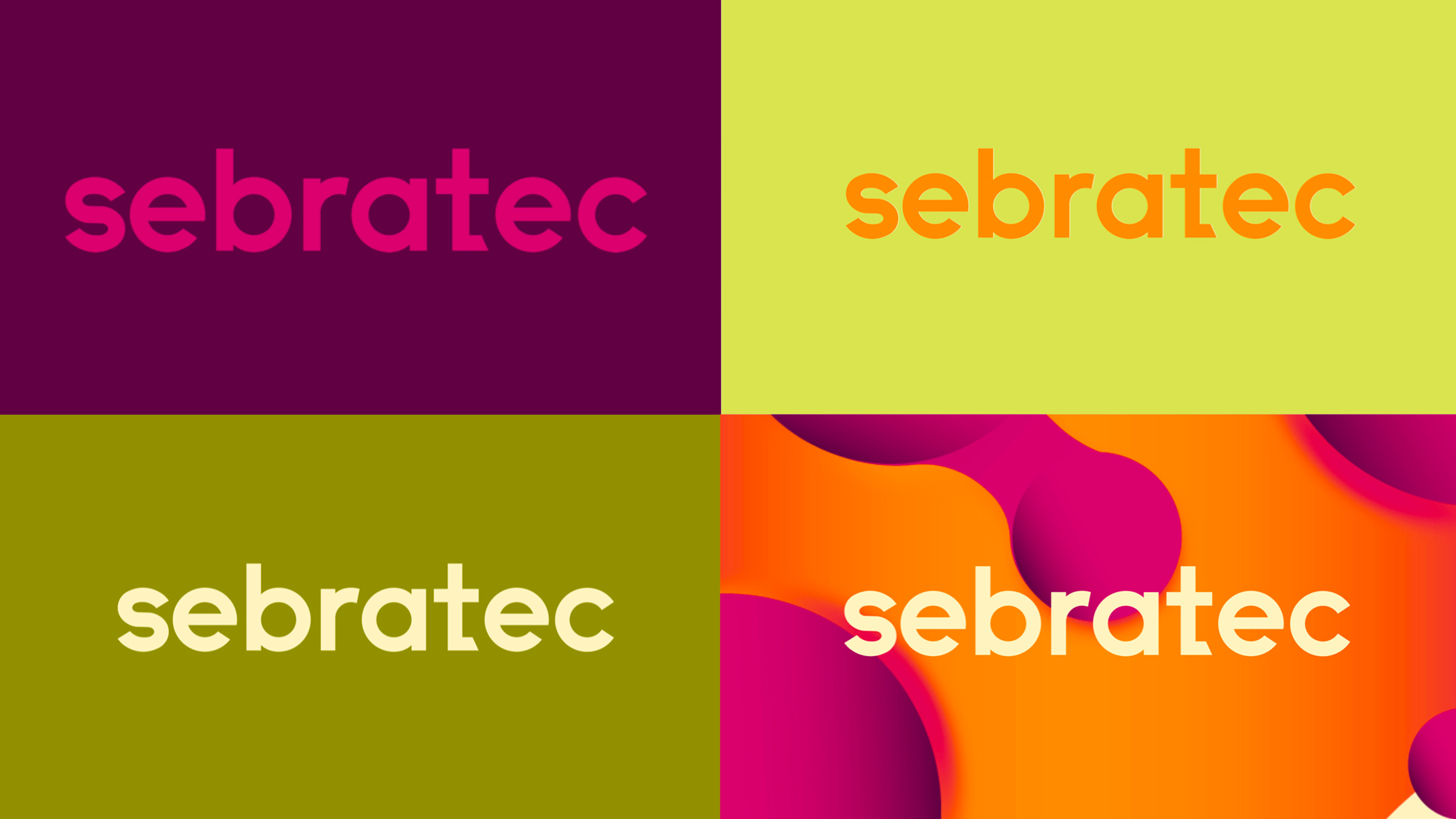 Sebratec brand identity